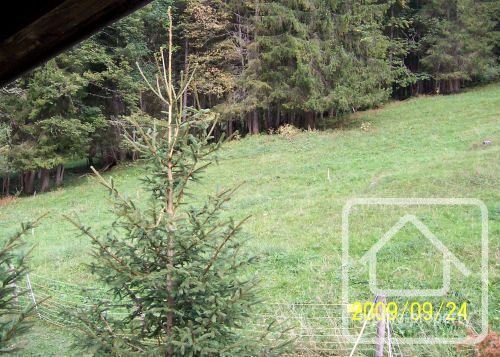 Land for sale in the Alps