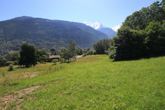 coterat