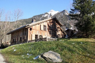 gerdil