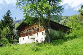 soujon