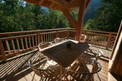 Chalet Gruvaz - The terrace surrounded by trees