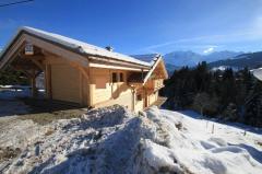 Chalet Mont Blanc - The chalet