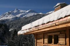 Chalet Panorama - Chalet Panorama in winter