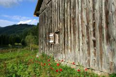 Chalet d