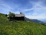 Chalet Paradis -